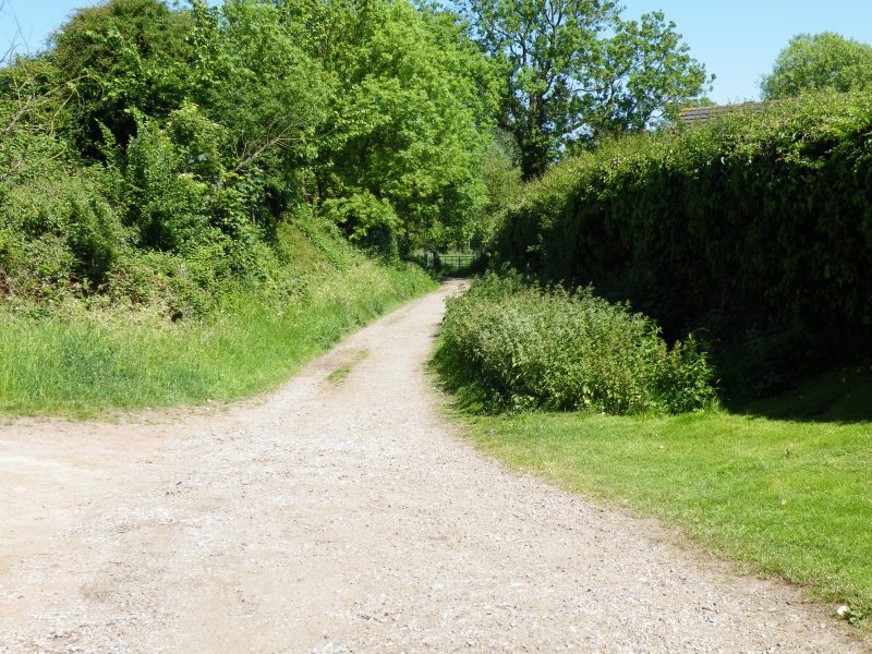 North Herts Museum update: how old is the Icknield Way?